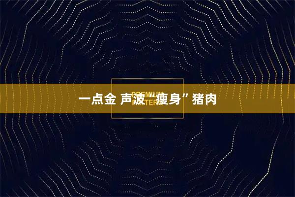 一点金 声波“瘦身”猪肉