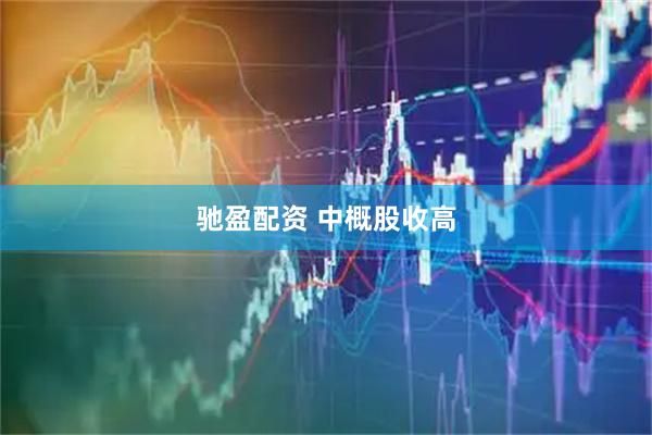 驰盈配资 中概股收高