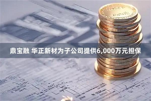 鼎宝融 华正新材为子公司提供6,000万元担保