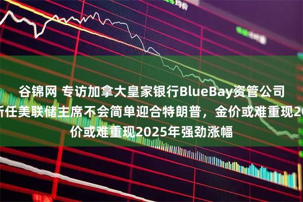 谷锦网 专访加拿大皇家银行BlueBay资管公司首席投资官：新任美联储主席不会简单迎合特朗普，金价或难重现2025年强劲涨幅