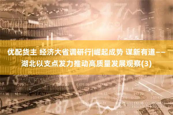 优配货主 经济大省调研行|崛起成势 谋新有道——湖北以支点发力推动高质量发展观察(3)