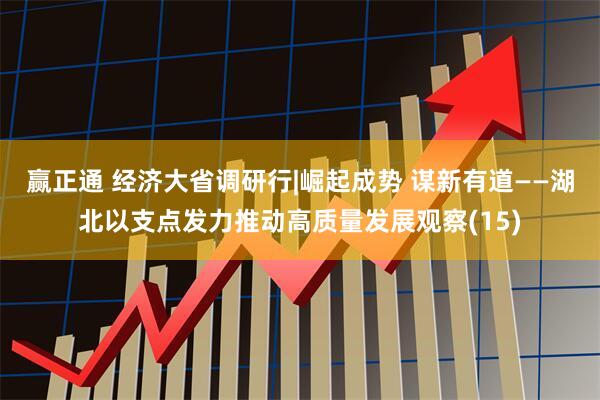 赢正通 经济大省调研行|崛起成势 谋新有道——湖北以支点发力推动高质量发展观察(15)